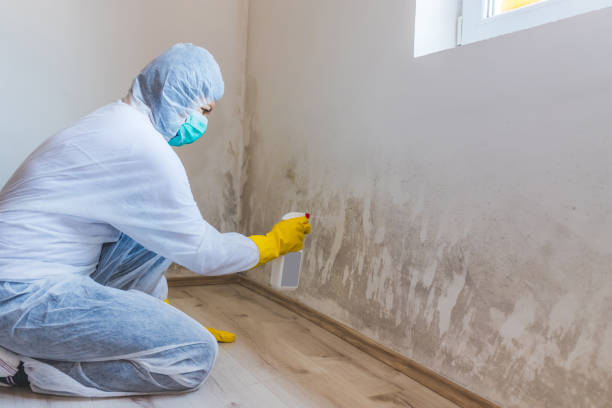Mold inspector in Hawthorne performing thermal imaging